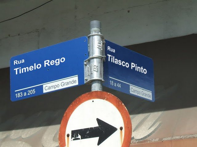 Ruas Timelo Rego e Tilasco Pinto